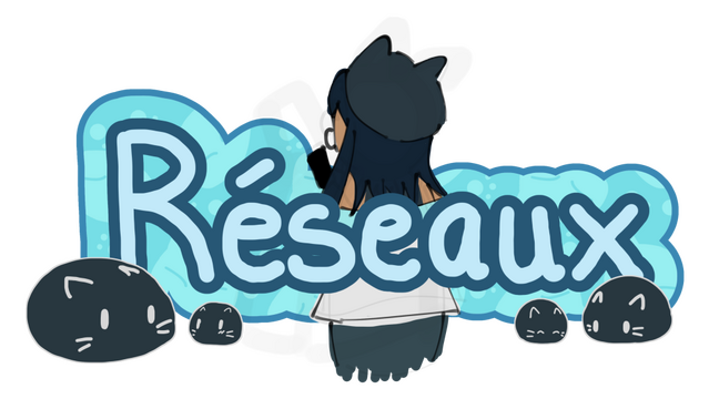 Panneau "Réseaux" (jan. 2025)